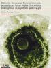 Portada de Obtención de vacunas frente a infecciones producidas por Herpes Simplex